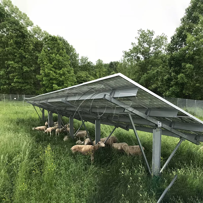 SOLAR EWER FARM